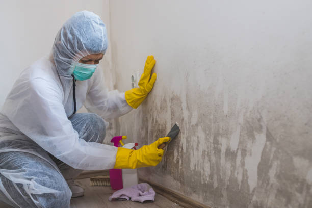 Crawl Space Mold Removal in Bay St Louis, MS