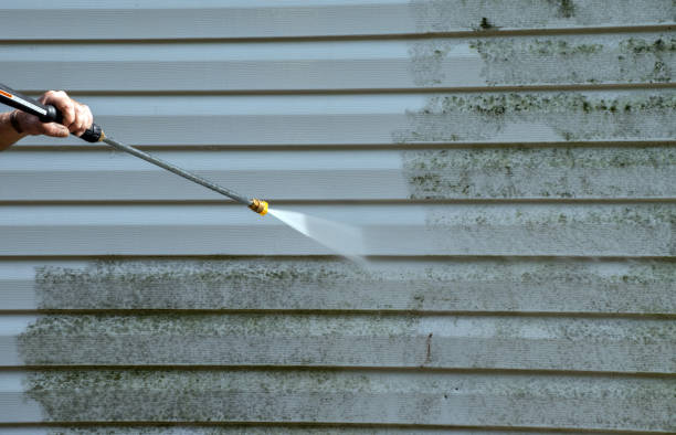 Home Mold Removal in Bay St Louis, MS